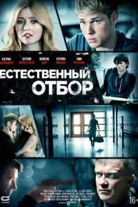 Естественный отбор