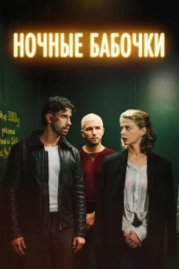 Ночные бабочки