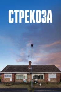 Стрекоза